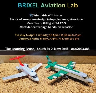 The Learning Brush-Build & Fly LEGO Aviation Workshop
