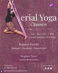The Pink Lotus Academia  -  Aerial Yoga Classes