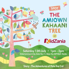 Amiown-Story:The adventures of pete the cat