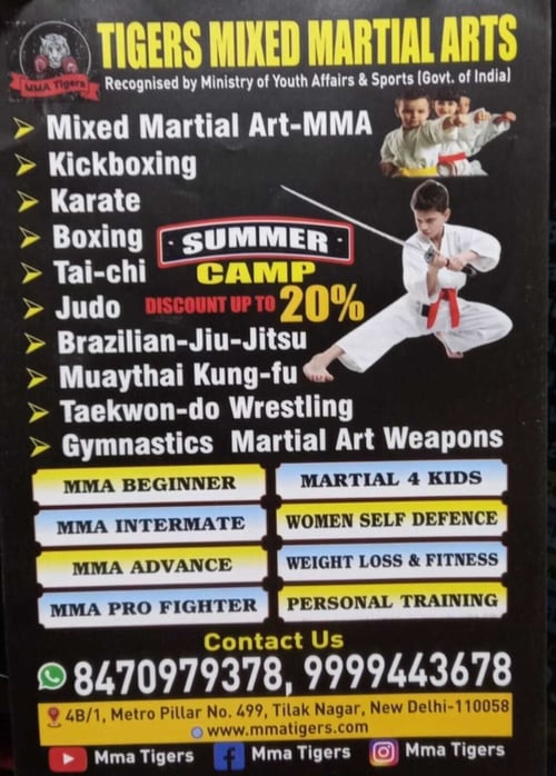 Tiger MMA Delhi-MMA and Martial Arts Classes