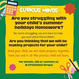 Curious Minds DIY-Summer Holidays Homework