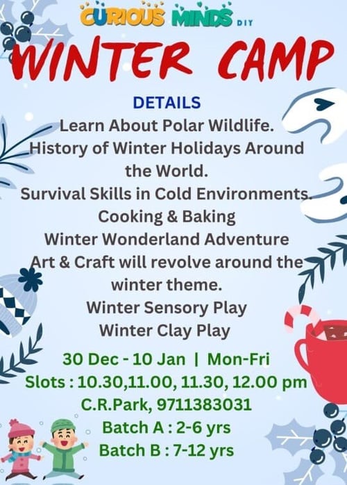 Curious Minds DIY-Winter camp