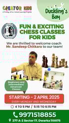 Duckling Bay-Chess Classes for kids