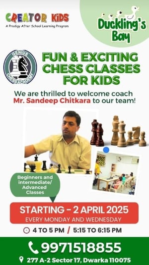 Duckling Bay-Chess Classes for kids