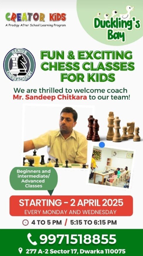 Duckling Bay-Chess Classes for kids