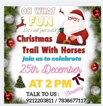 Duke Horse Riding Club-Christmas Trail with Horses