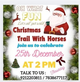 Duke Horse Riding Club-Christmas Trail with Horses