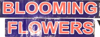 Blooming Flowers Play School