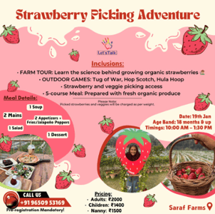 Lets Talk-Strawberry Picking Adventure