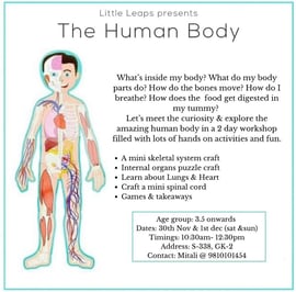 Little Leaps-The Human Body Workshop for kids
