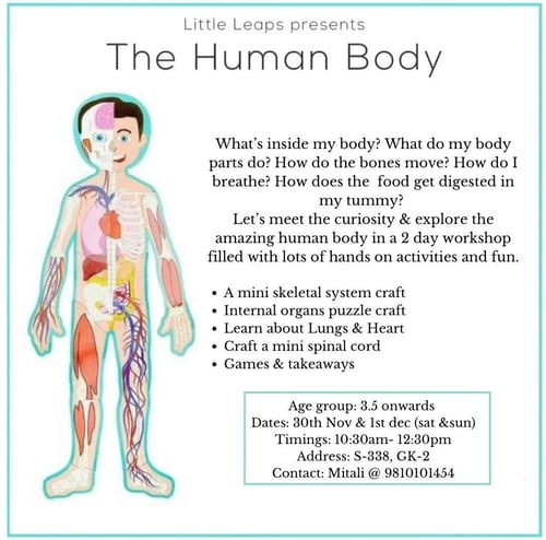 Little Leaps-The Human Body Workshop for kids
