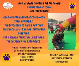 Moglys Gurukul-Pup Party