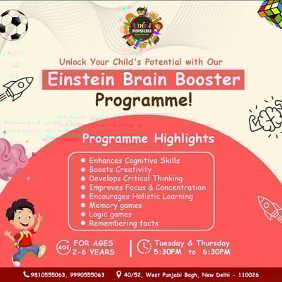 POPSICLES: Einstein Brain Booster  Programme