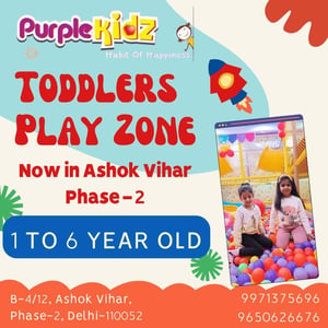 Purple Kidz-Toddlers Play zone