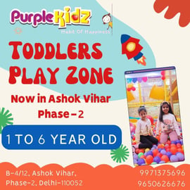 Purple Kidz-Toddlers Play zone