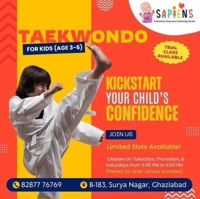 Sapiens-Taekwondo for kids