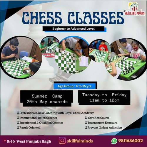 Skillful Minds-Chess Classes Beginner to Advanced Level Summer Camp