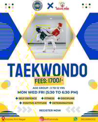 Skillful minds-Taekwondo Class Kirti Nagar