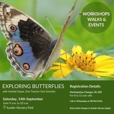 Sunder Nursery Park- Exploring butterflies with vaishali gupta. one teacher one scientist