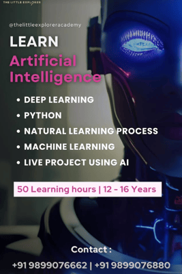 The Little Explorer-Artificial Intelligence