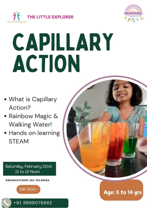 The Little Explorer-Capillary Action