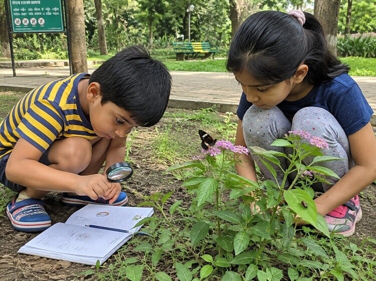 Bug and insect observation