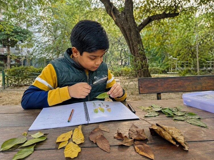 Comparing leaves across seasons
