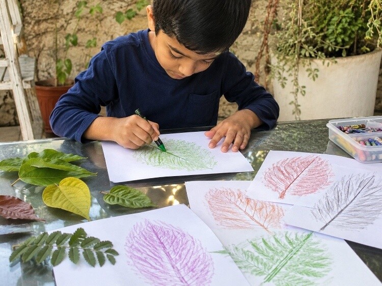 Leaf and texture rubbing collections