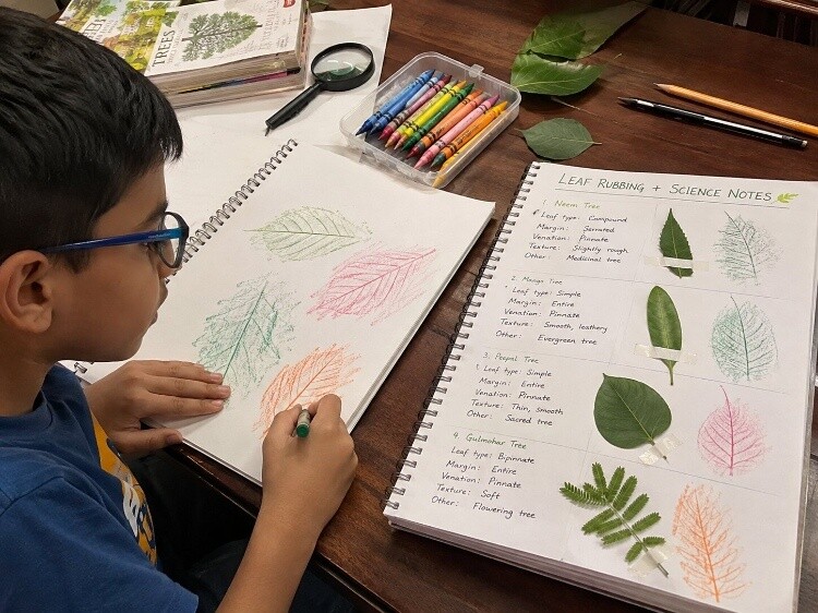Leaf rubbing art with science notes