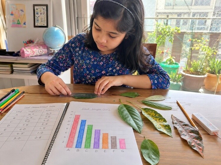 Leaf size measurement and data recording