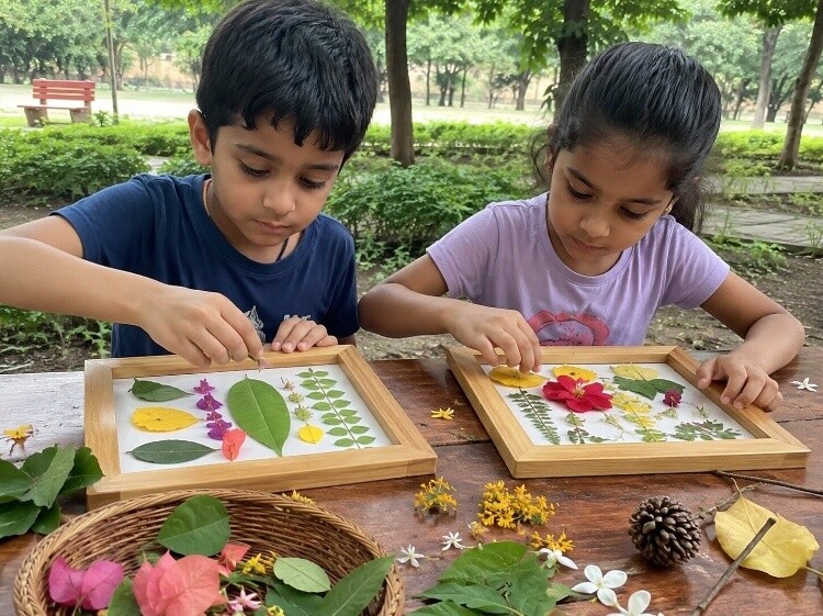 Nature collage frames