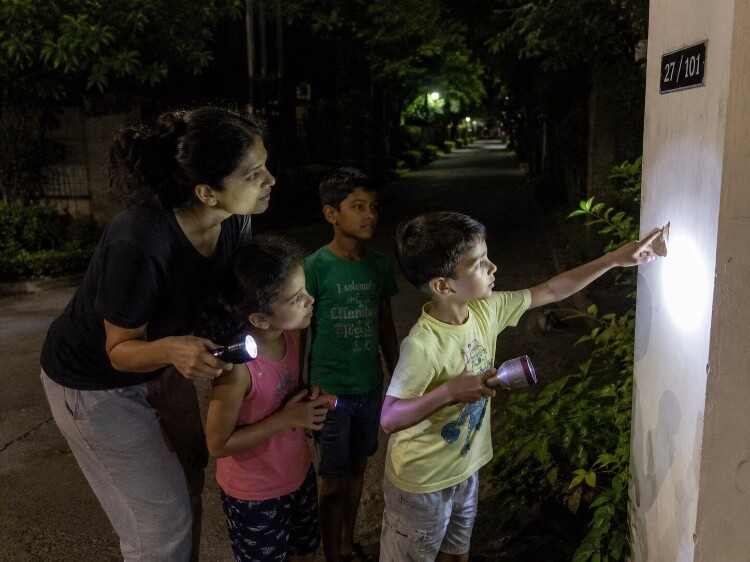 Night-walk safaris