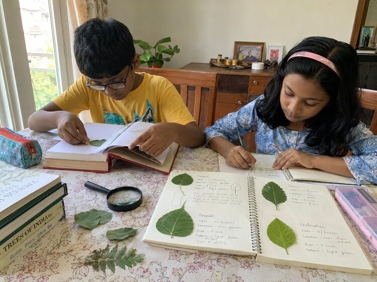 Pressed leaf preservation and journaling