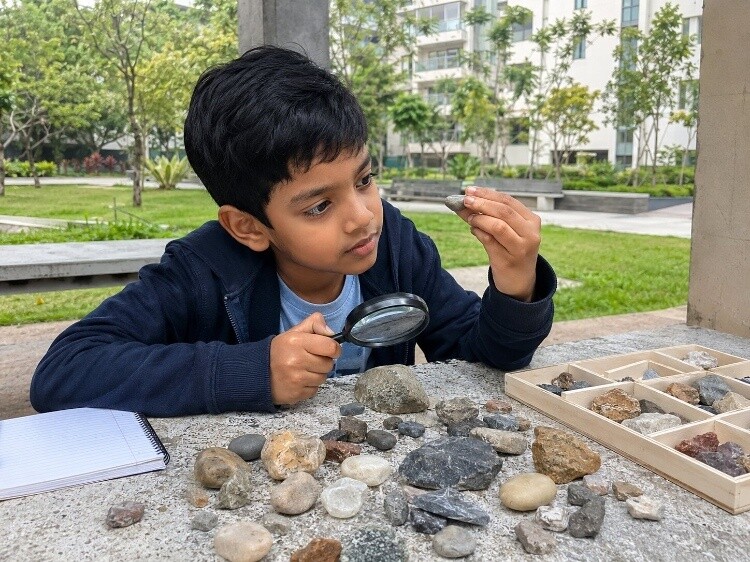 Rock and stone collecting