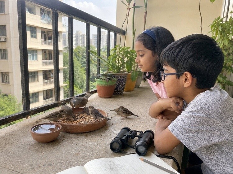 Simple bird feeding stations