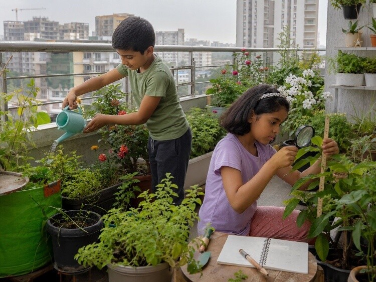 Balcony/garden missions