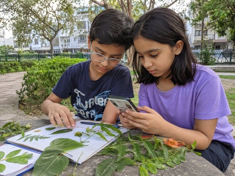 Identifying local tree species through their leaves