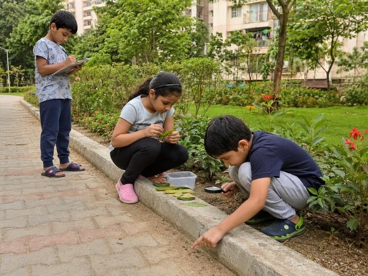 Nature and park science