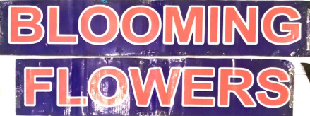 Blooming Flowers Play School