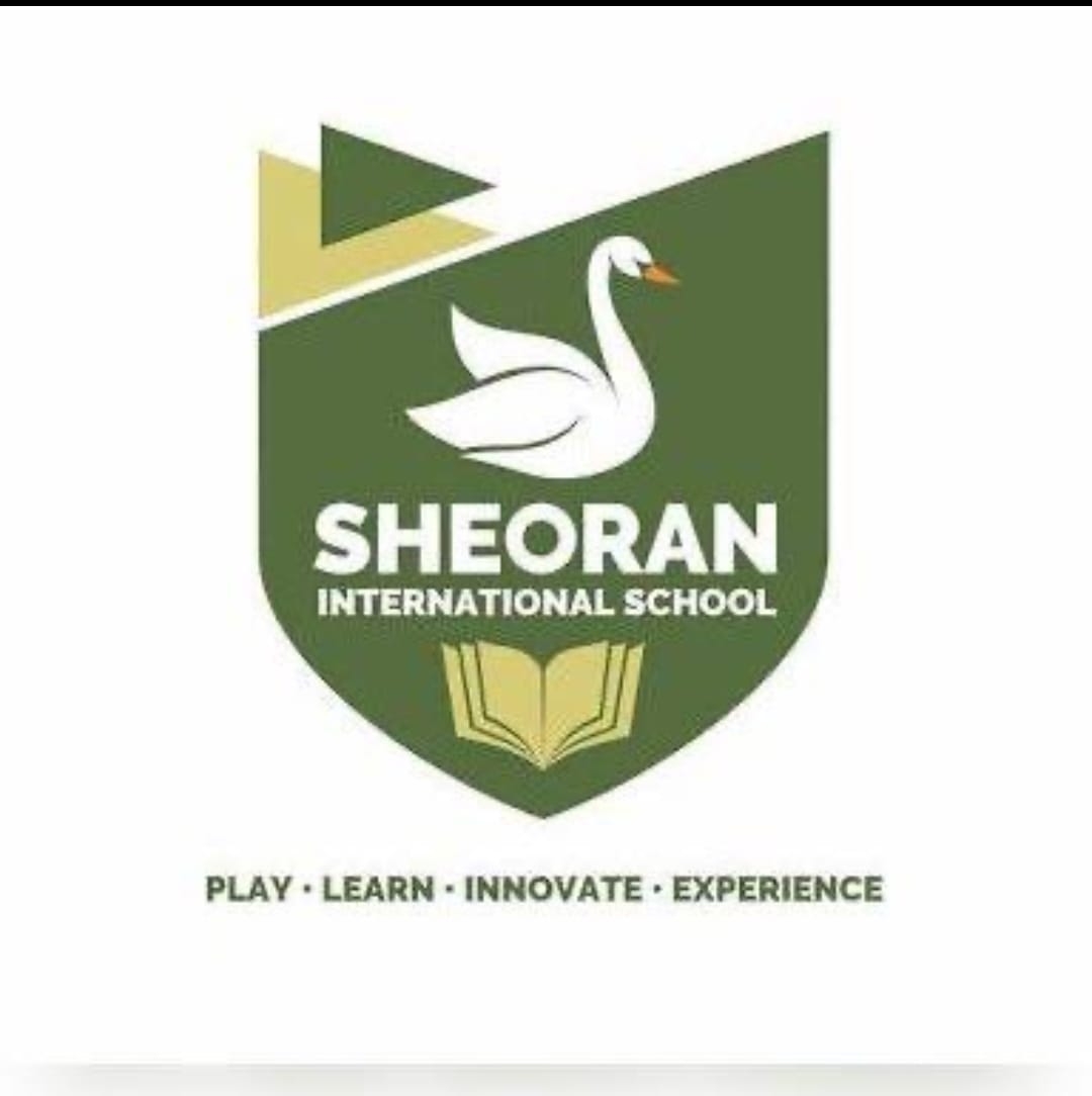Sheoran International School